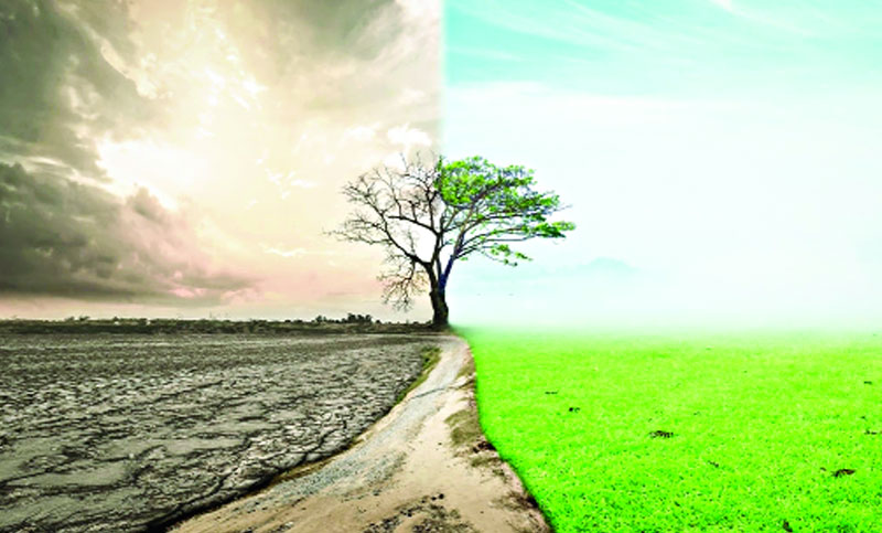 চরমপন্থীদের চিন্তার গোড়ায় গলদ