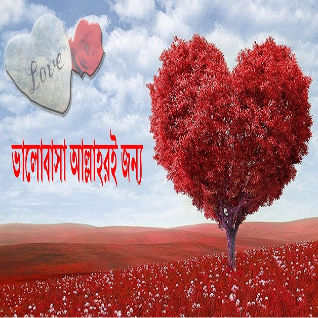 ভালোবাসা আসলেই কার জন্য ?!