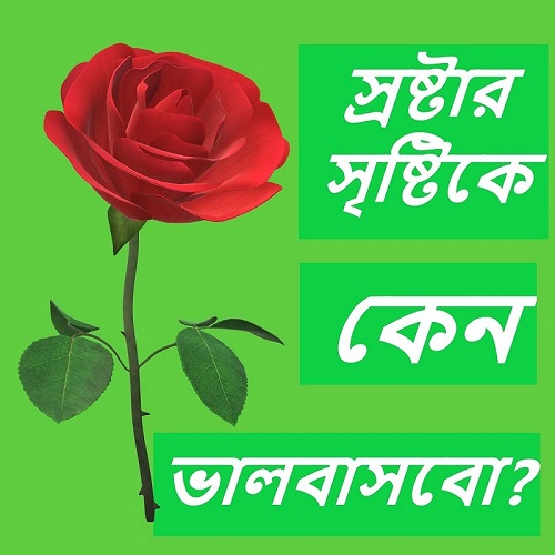 স্রষ্টার সৃষ্টিকে কেন ভালোবাসবো?