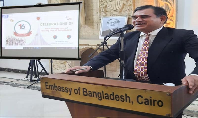 মিসরে বিজয়ের সুবর্ণজয়ন্তী উদযাপন